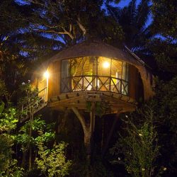 3611 - HUMA TERRA GREEN LODGE SRI LANKA - 1