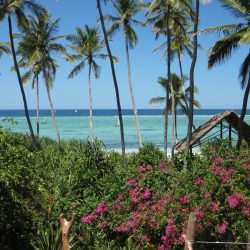 3672 - Stay 100% relaxation on Spice Island - 1