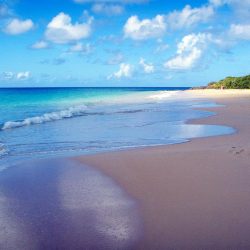 3649 - Lune de miel en Martinique - 1