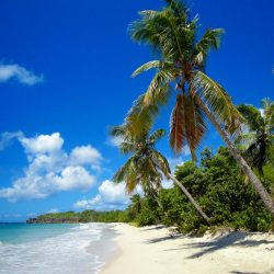 3649 - Honeymoon in Martinique - 1