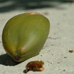 LAS MALDIVAS DE FORMA DIFERENTE ISLA HURAA