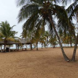 3574 - Couleurs du Sud-Bénin - 1