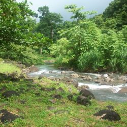 3544 - Paseo gastronómico en el corazón de Madinina - 1