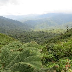 3675 - Séjour découverte du Costa Rica - 1