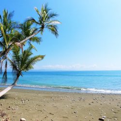 Spiaggia di sabbia della Costa Rica