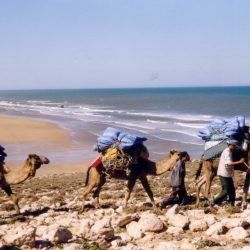 3712 - Viaje de verano, Chamelière senderismo a lo largo del agua - 1