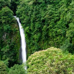 3675 - Séjour découverte du Costa Rica - 1