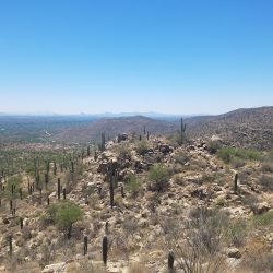 trekking nel deserto di sonora