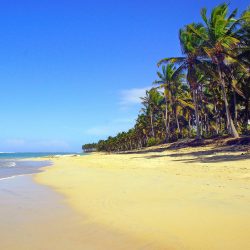 3592 - Discover the Dominican Republic - 1