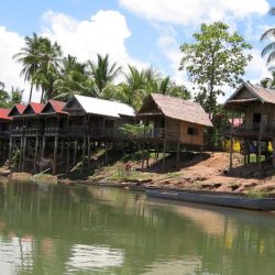 Market gardening in Laos