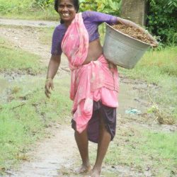 3708 - Volontariat en Inde du Sud au sein de la Tribu Irula - 1