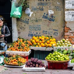 Viaje ecológico por Vietnam