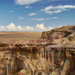 Del desierto a la estepa nómada