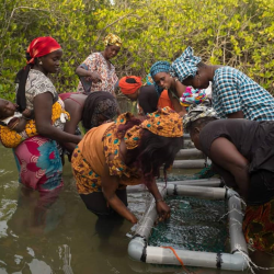 3515 - Alla scoperta del Senegal attraverso i progetti dell'ICD Afrique - 1