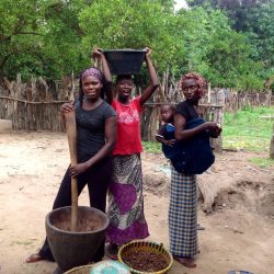 3515 - Discovering Senegal through ICD Afrique projects - 1