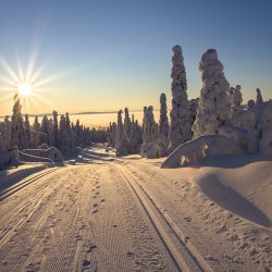 Weihnachtsmann in Lappland