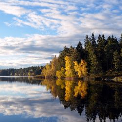 3696 - Stockholm nature - 1