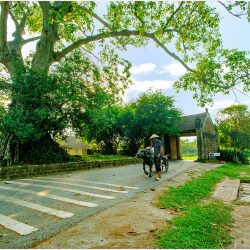 Estancia en familia en Vietnam del Norte