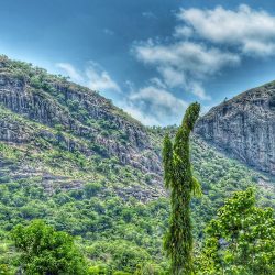 3550 - Bénin entre Monts et Merveilles - 1