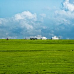 Du désert aux steppes des nomades