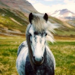 3609 - Grand tour hors des sentiers battus - 1