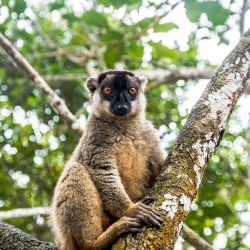 3689 - Solidarischer Aufenthalt Ost-Madagaskar - 1