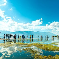 3698 - Sur la route du Thé, du Yunnan à Pékin - 1