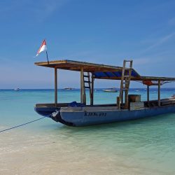 Arrozales y mar turquesa en Bali-Lombok