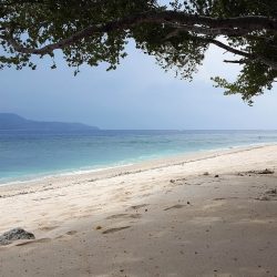 Bali-Lombok Reisfelder und türkisfarbenes Meer