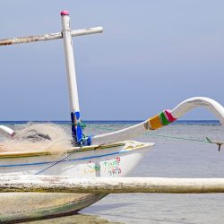 Bali-Lombok Reisfelder und türkisfarbenes Meer