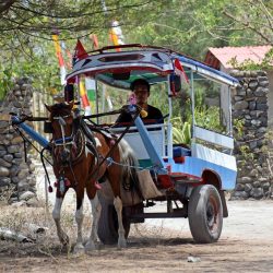 Bali-Lombok Reisfelder und türkisfarbenes Meer