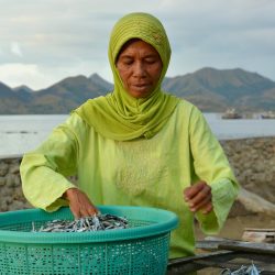 Avventura e immersione a Sulawesi