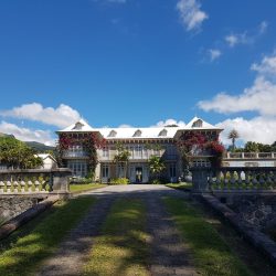 3649 - Lune de miel en Martinique - 1