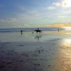 Abenteuer und Eintauchen in Sulawesi