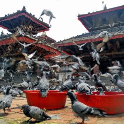 Land of men and gods Nepal