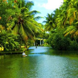 Un tranquilo paseo en canoa por los remansos de Kerala, India: un auténtico escaparate de verdor tropical.