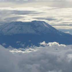 3670 - Safari alla scoperta della Tanzania - 1