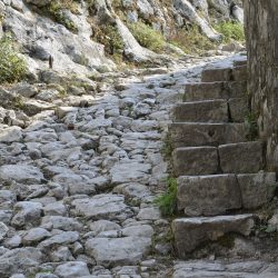3700 - TOURISME SOLIDAIRE AU MONTENEGRO - 1