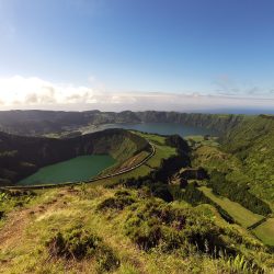 ACORES balene e delfini selvatici