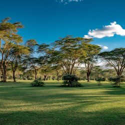 3641 - Kenya's must-sees - 1