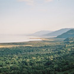 3670 - Safari alla scoperta della Tanzania - 1