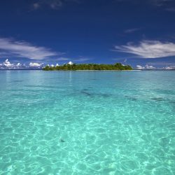 Bali-Lombok Reisfelder und türkisfarbenes Meer