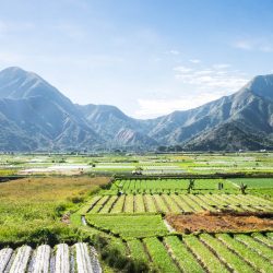 Bali-Lombok rice fields and turquoise sea