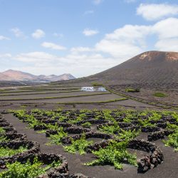 LANZAROTE RI1LANZ lanzarote-3569314_1920