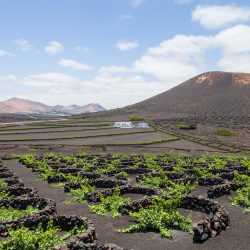 Lanzarote