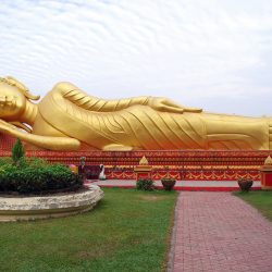 Horticultura en Laos