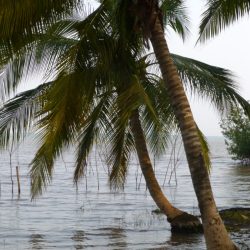 3574 - Couleurs du Sud-Bénin - 1