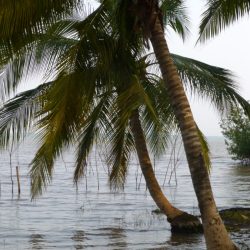 3574 - Couleurs du Sud-Bénin - 1