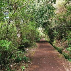 Madeira