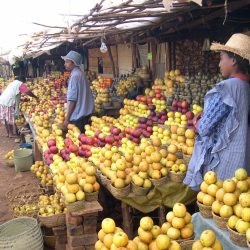 3690 - Viaggio di solidarietà nel Madagascar occidentale - 1